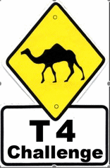 T4 Challenge logo