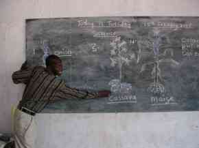 a teacher at Abuko school draws some local plants on a blackboard