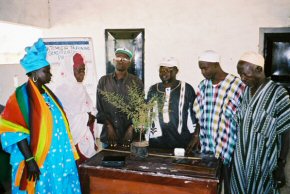 Mr Darboe with some villagers and one of the Artemisia plants