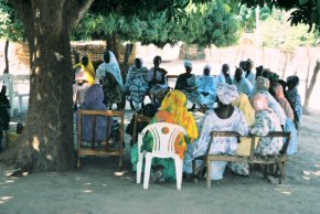 villagers gather under a tree for a training session