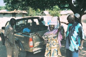 Artemisia plants being delivered to a village