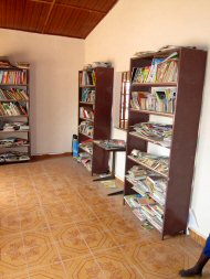 bookshelves in the library