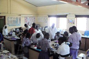 More children being shown the microscopes