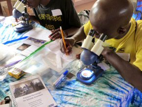 microscopy workshop - using a microscope