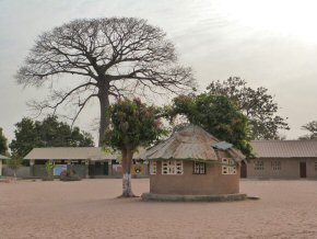 General area and Staff dining area in one of the schools. Magnificent elephant tree in the background