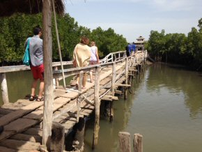 Visiting Lamin Lodge on a day off This is the access bridge