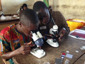 Teachers looking down the microscopes in Jambanjelly