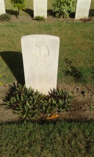 headstone for Yankuba Cessay