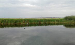 lagoon at Cape Point