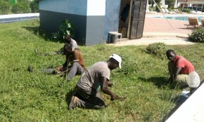 gardeners at work