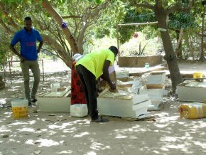 Learning to make hives