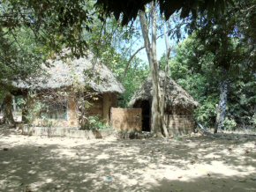 The huts used as accommodation for people attending beekeeping courses