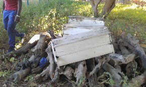 Hives to be repaired