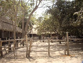 paddock and stables at Makasutu