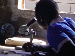 student using a microscope at a school which recieved one