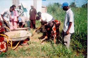 Wheelbarrows being used by GEPADG volunteers