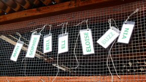 name badges on the shelter