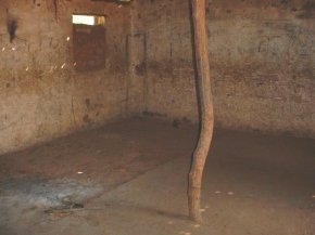 inside the bare kitchen  building with stained walls and a tree branch holding up the roof