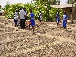 Sinchu Baliya school garden ready for sowing the seeds