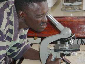 Students at Banjul University using  microscopes 5