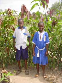 mango tree saplings will be bought from Sinchu Baliya with Gift Token money and donated to families and other schools