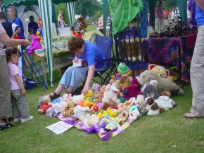 Pageant stall at Horsham Fun Day