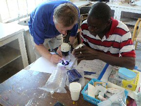 2010 microscopy workshop - individual tuition