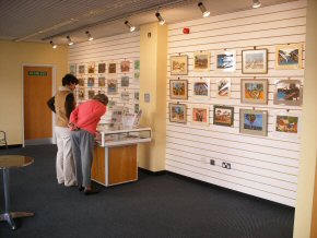 Tina & Joan checking the display case