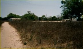 view of Bakalarr school in 2000 showing the dirt road and clasroom blocks surounded by unfenced scrub