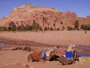 Kasbah and camels at Benhaddou Morocco