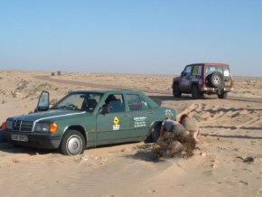 The first ones to be stuck in sand