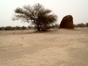 One of the more 'restrained' termite mounds