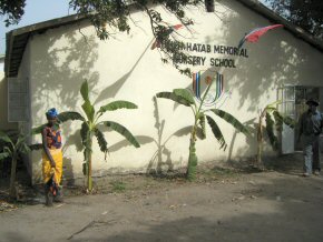 bananas planted all round the school building