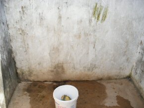 the existing toilets - inside