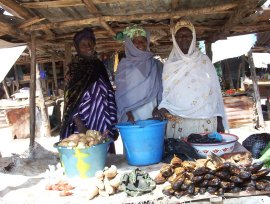 three Busumbala women selling all sorts of fruit and vegetables at their market stall