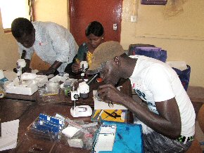 microscopes being used